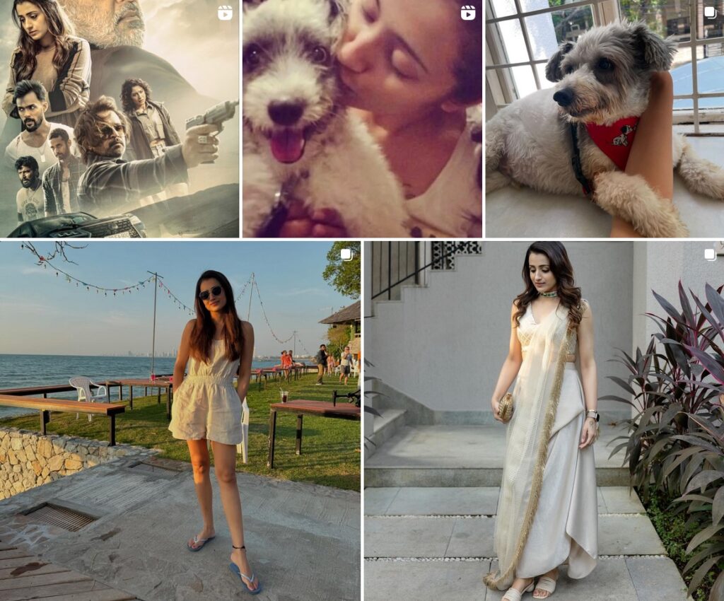 Trisha Krishnan Net Worth | Photo Credit : Instagram