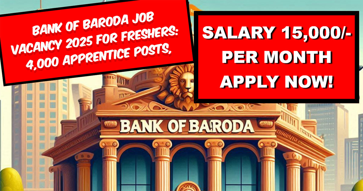 bank of baroda job vacancy 2025 for freshers