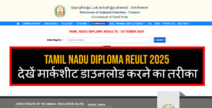 तमिलनाडु डिप्लोमा रिजल्ट 2025 | Tamil Nadu Diploma Result 2025 | Credit : dte.tn.gov.in