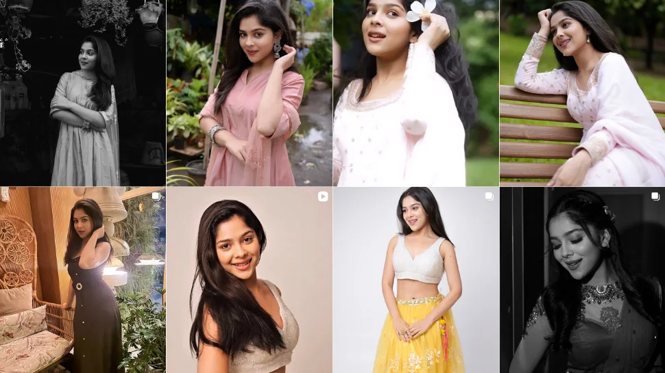 Niharika Chouksey Net Worth Net worth 2026